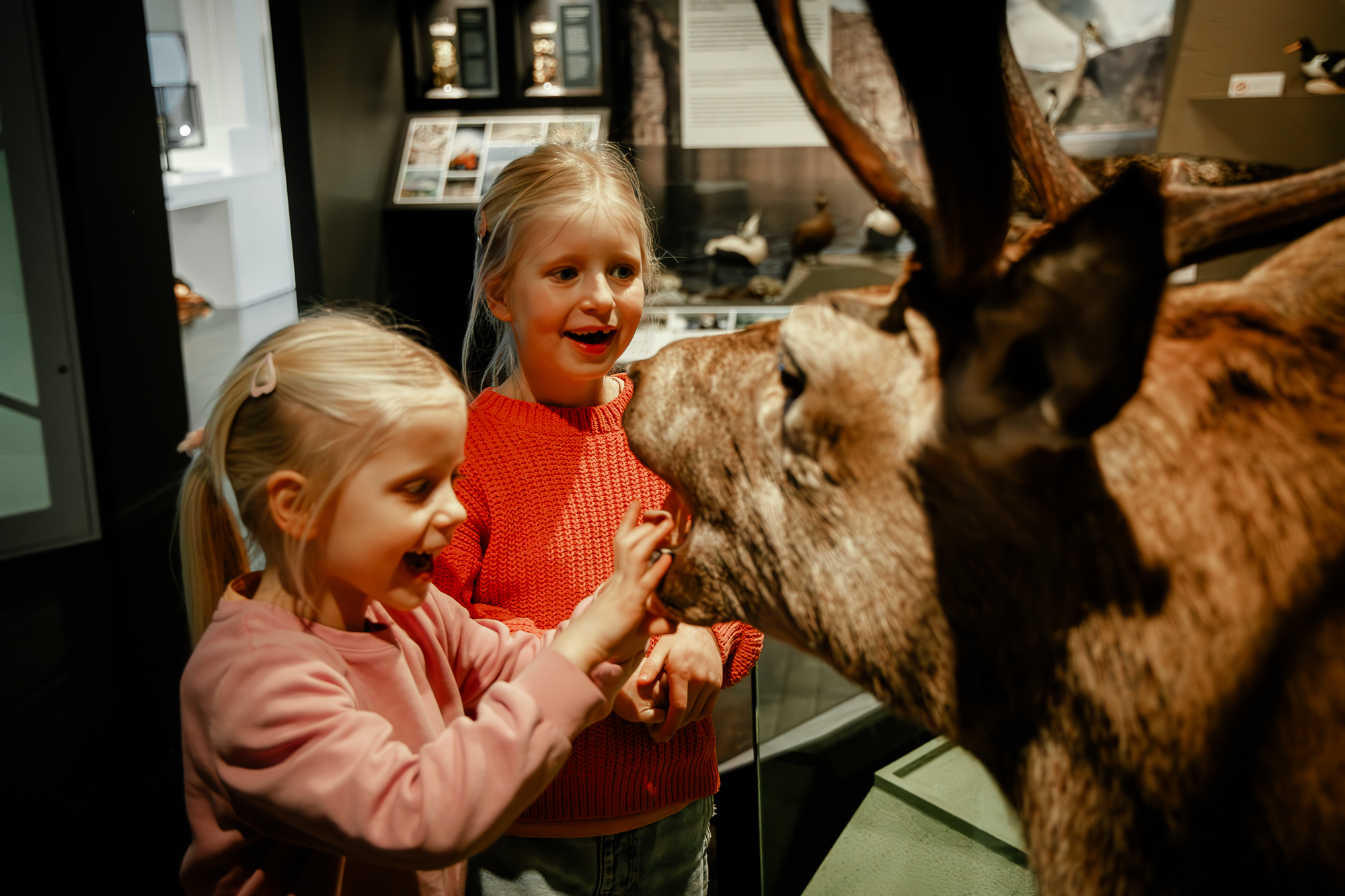 Vår natur?